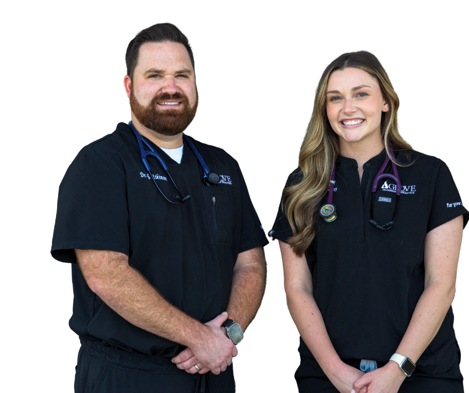 Dr. Atkinson and Dr. Gray smiling